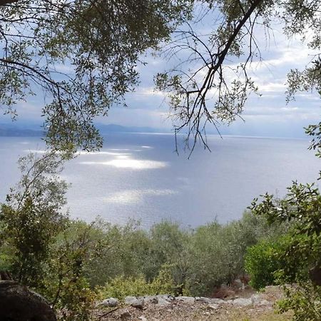 הוילה ניסקי Rizes Sea View מראה חיצוני תמונה