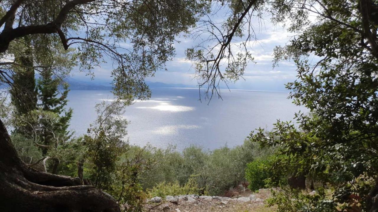 הוילה ניסקי Rizes Sea View מראה חיצוני תמונה